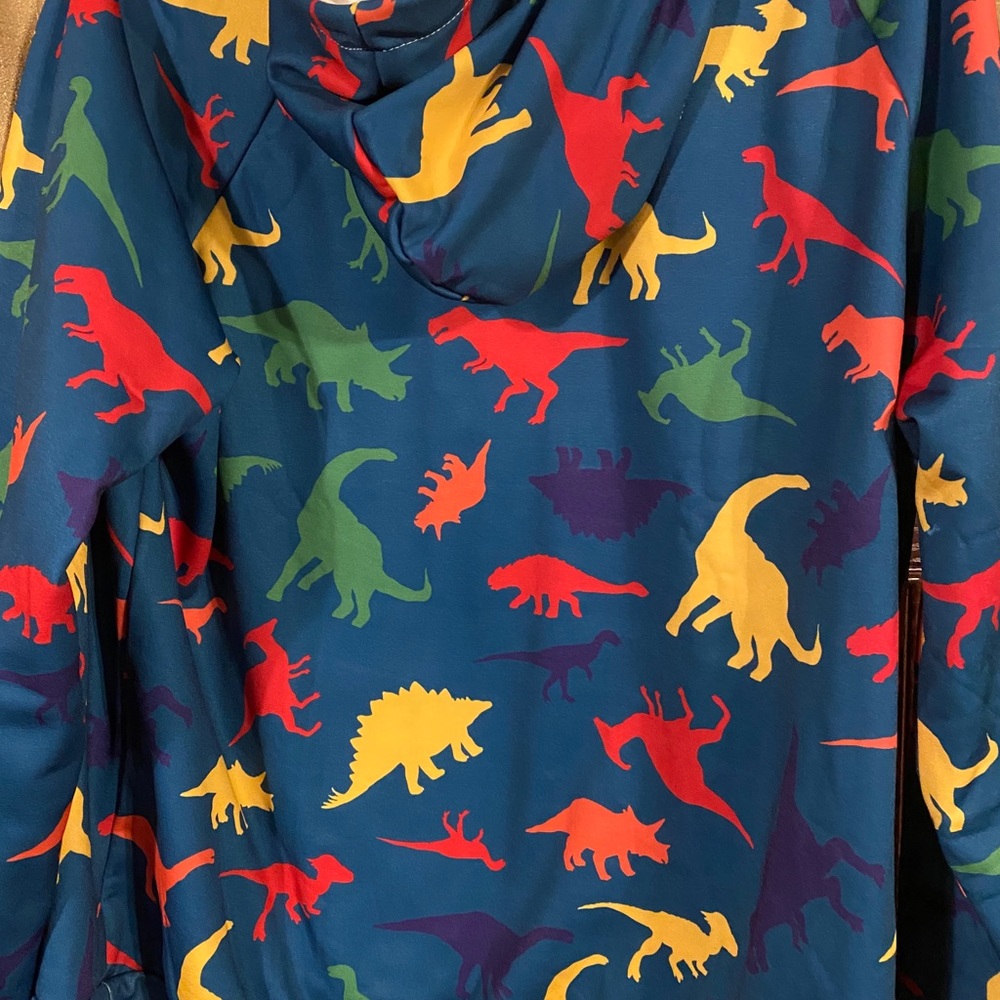 Dinosaur hoodie